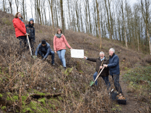 Blühender Wald statt Kahlflächen für den Markt Wirsberg