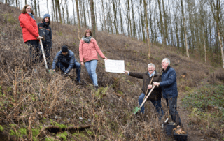 Blühender Wald statt Kahlflächen für den Markt Wirsberg