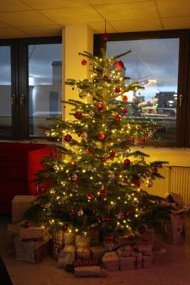 IMG_1101 Es weihnachtet sehr